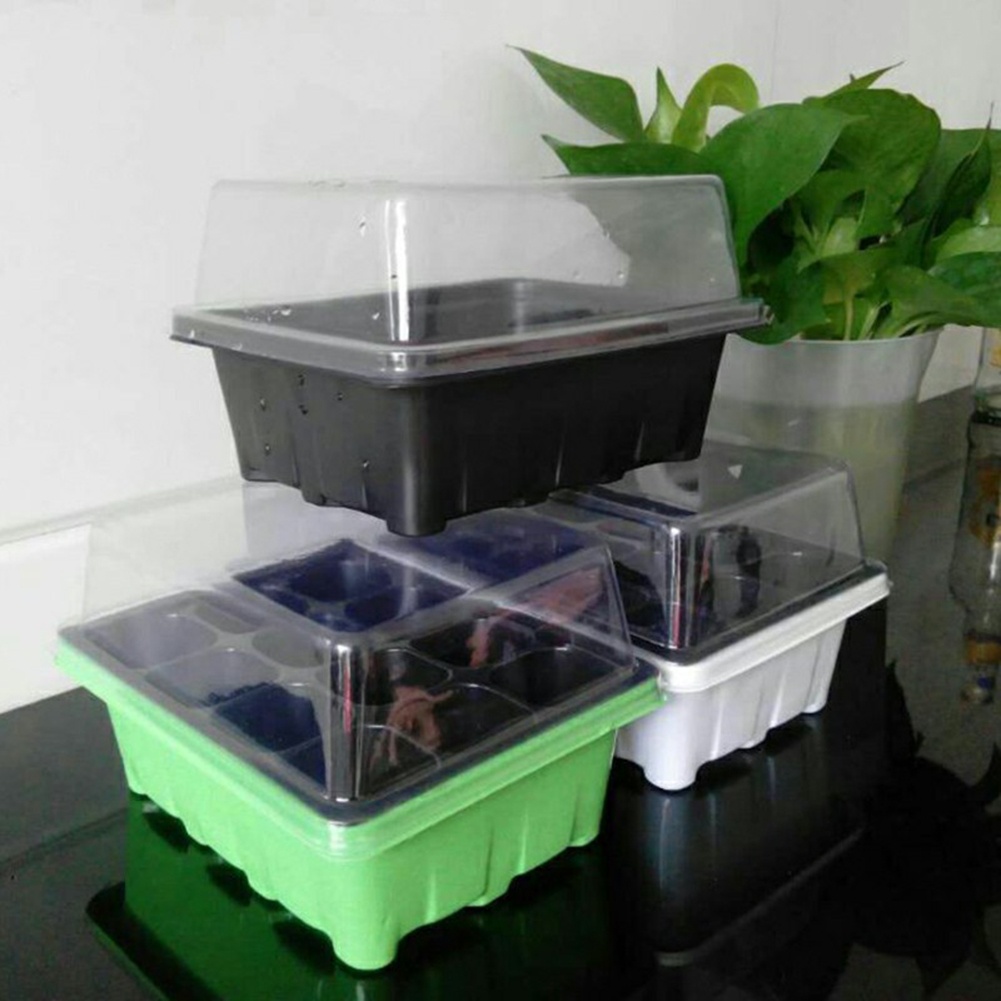 Bonsai Garden Grow Kit - Kit di Germinazione Semi con Vassoi