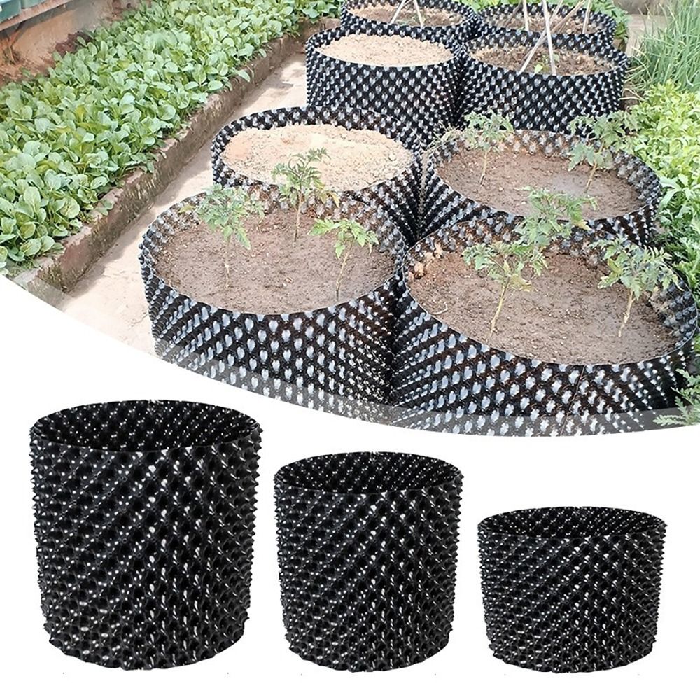 Bonsai Garden Nursery - Set di 1 Vaso Resistente e