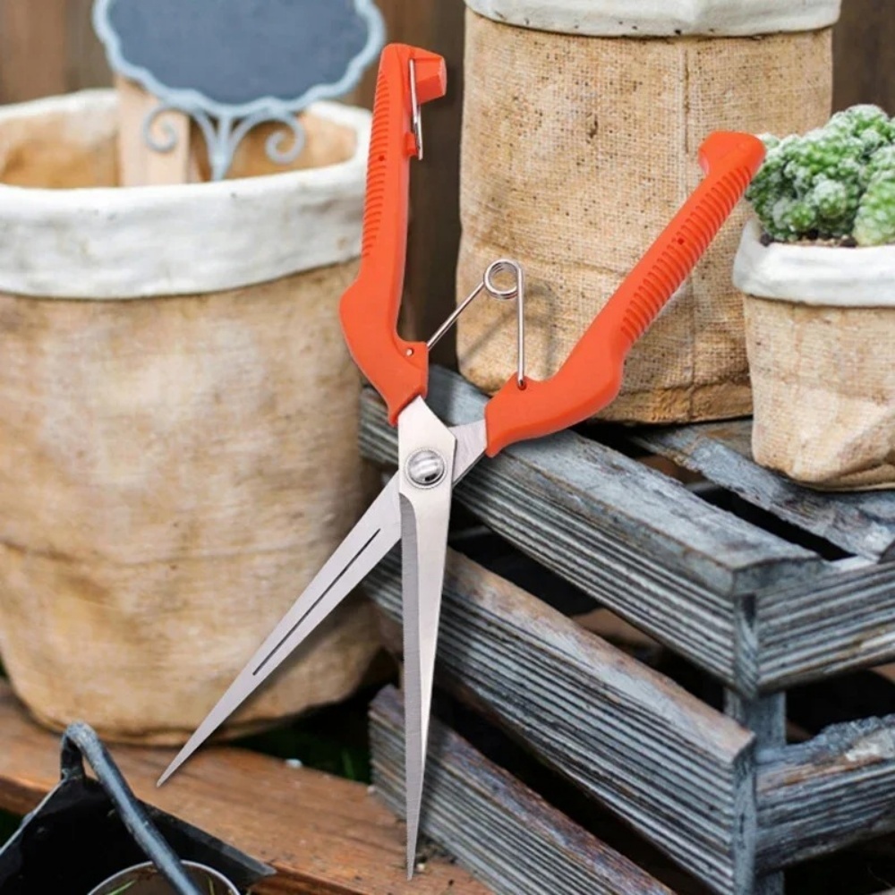 Bonsai Garden Knife - Cesoie da potatura professionali da giardino
