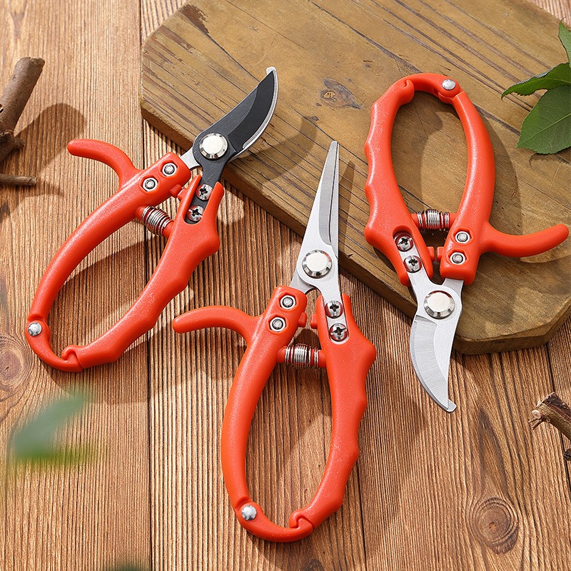 Bonsai Garden Knife - Forbici per rami da giardinaggio Cesoie