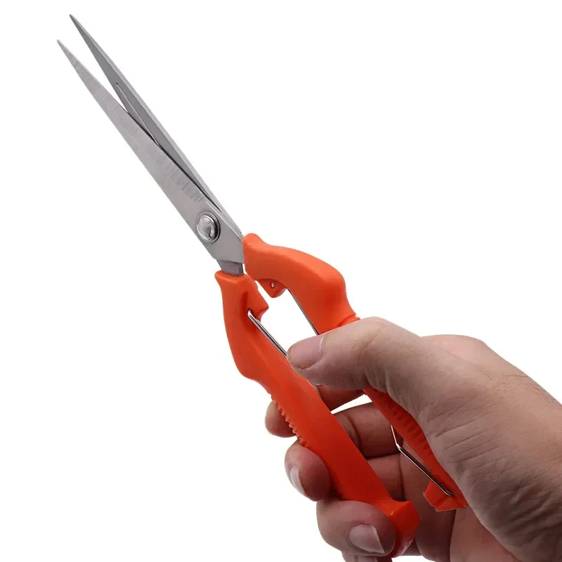 Bonsai Garden Knife - Cesoie da potatura Forbici per uva