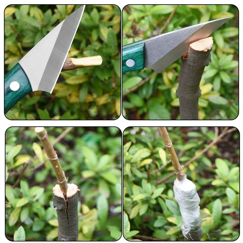 Bonsai Garden Knife - Coltello da innesto in acciaio inossidabile