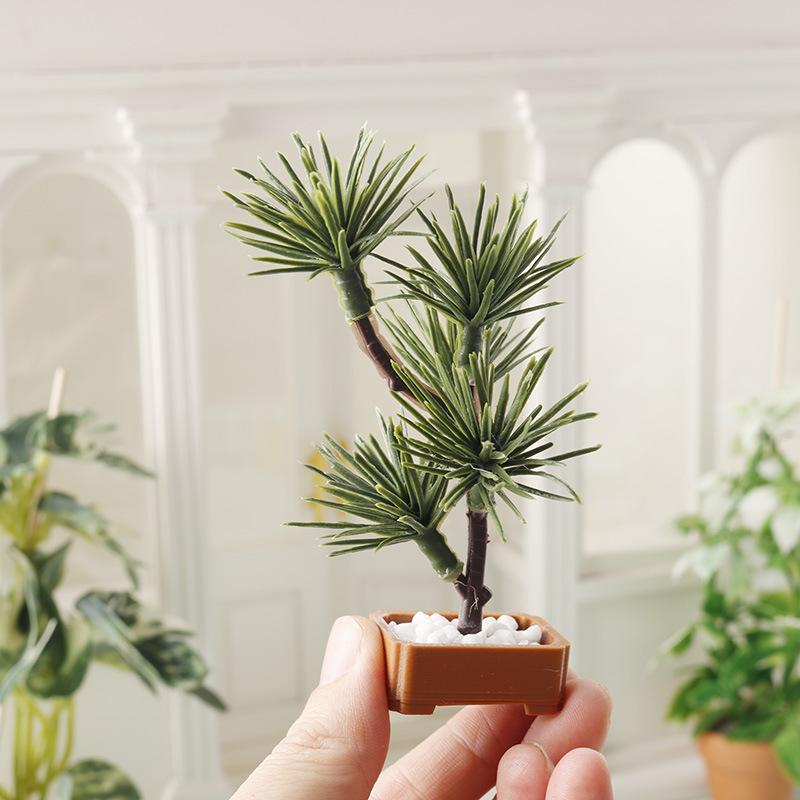 Landscape Bonsai Garden - 1 Pezzo Albero di Pino in