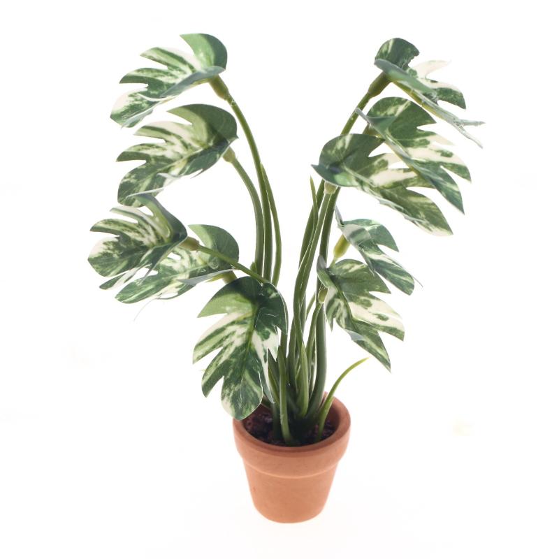 Landscape Bonsai Garden - Nuovo. 1 Pezzo Pianta Verde Monstera