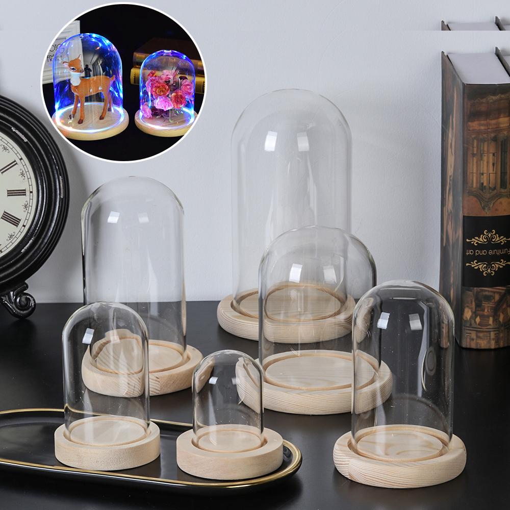 Display Stand Wood - Bottiglia per terrario con copertura per