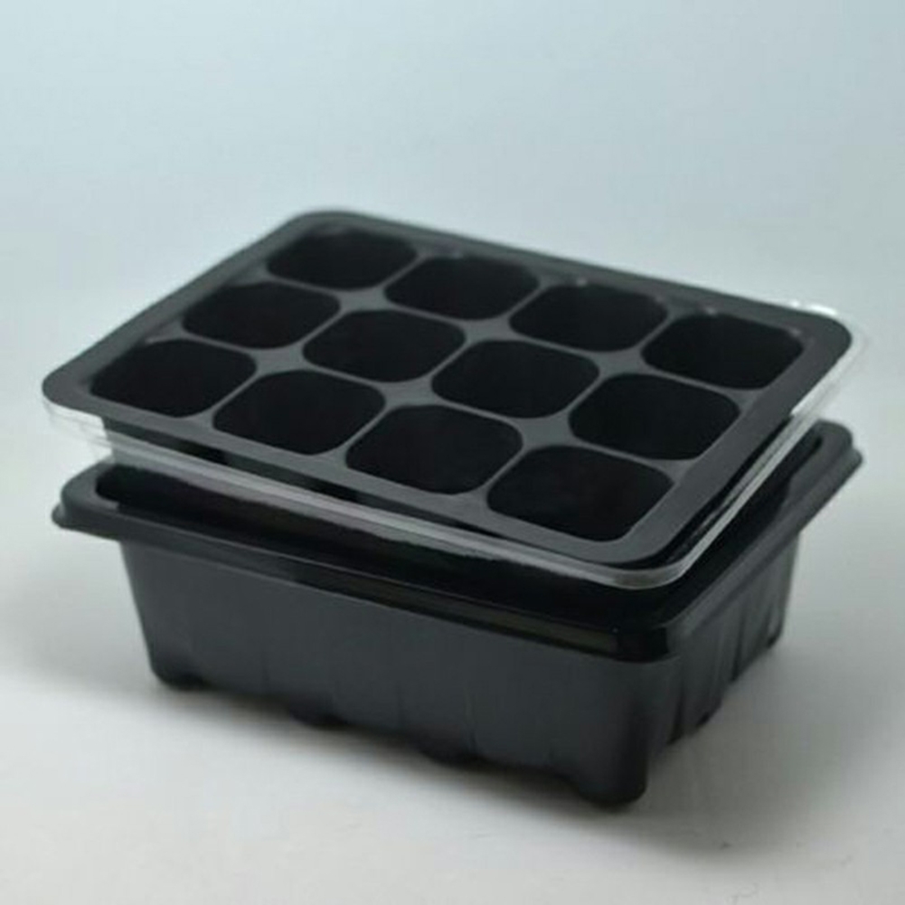 Kit di Germinazione Semi con V - Bonsai Garden Grow Kit recensione e prezzo