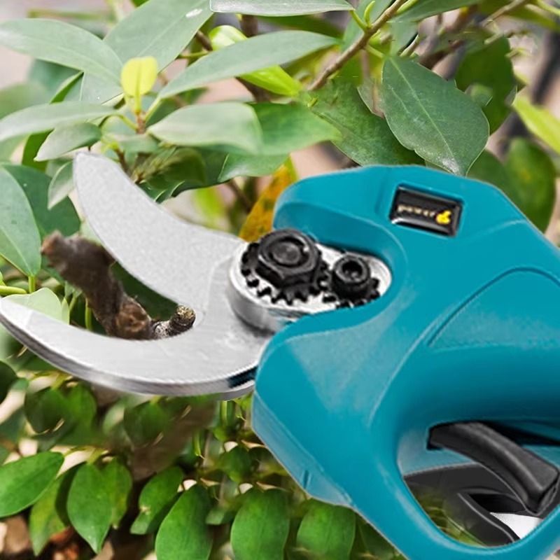 Forbici Elettriche da Potatura - Bonsai Garden Thailand recensione e prezzo
