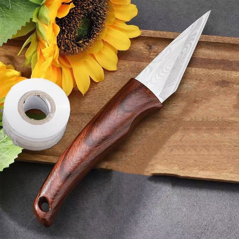 Coltello per Innesto da Giardi - Bonsai Garden Knife recensione e prezzo