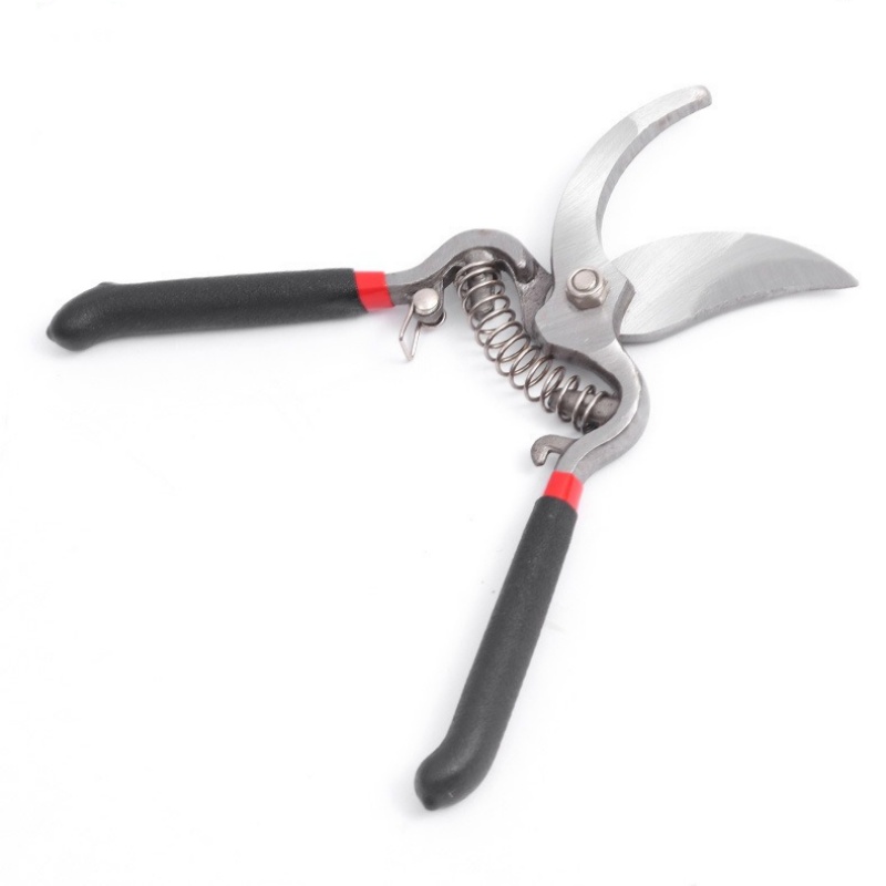 Forbici da Giardino per Potatu - Bonsai Garden Knife recensione e prezzo