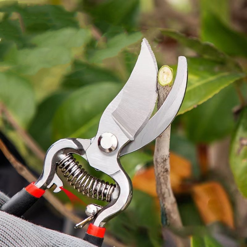 Forbici da Giardino per Potatu - Bonsai Garden Knife recensione e prezzo