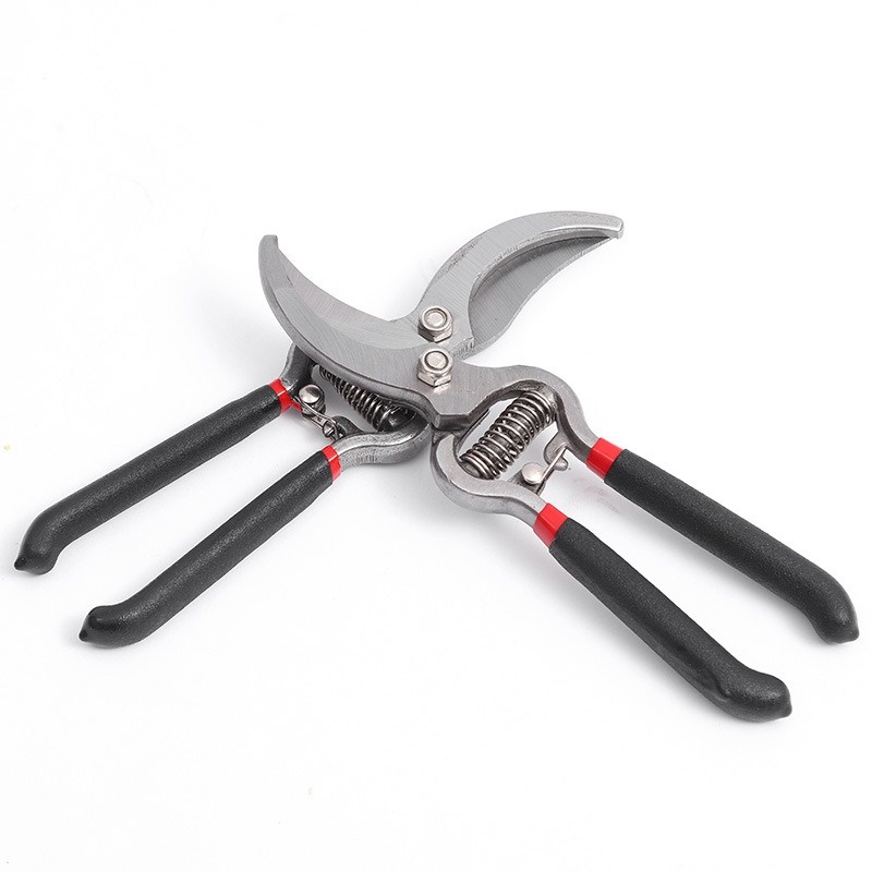 Forbici da Giardino per Potatu - Bonsai Garden Knife recensione e prezzo