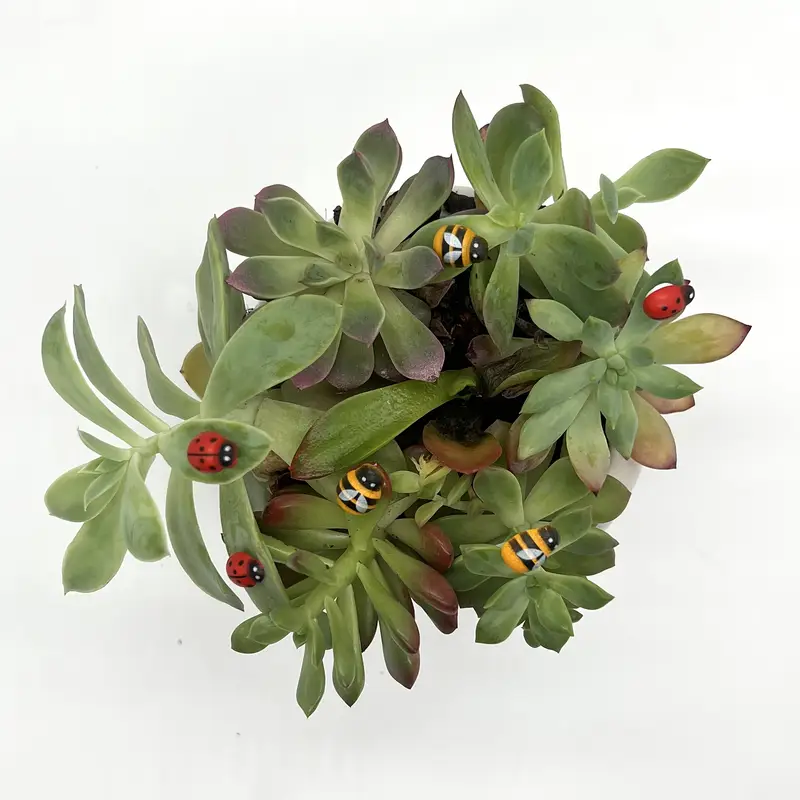 50/100 Pcs Mini Self-Adhesive  - Landscape Bonsai Garden recensione e prezzo