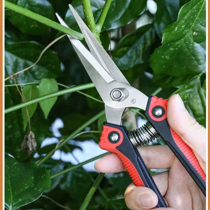 Forbici da Potatura NEWSHARK i - Bonsai Garden Knife recensione e prezzo