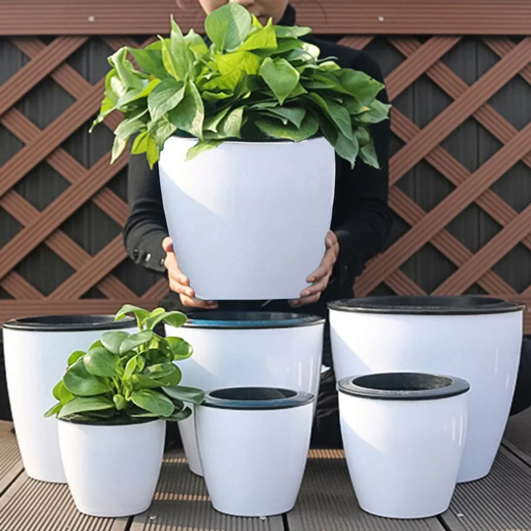 Vaso da fiori pigro Pianta aut - Bonsai Garden Nursery recensione e prezzo
