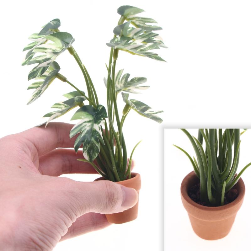 Offerta Speciale: Pianta Verde - Bonsai Garden For Sale recensione e prezzo