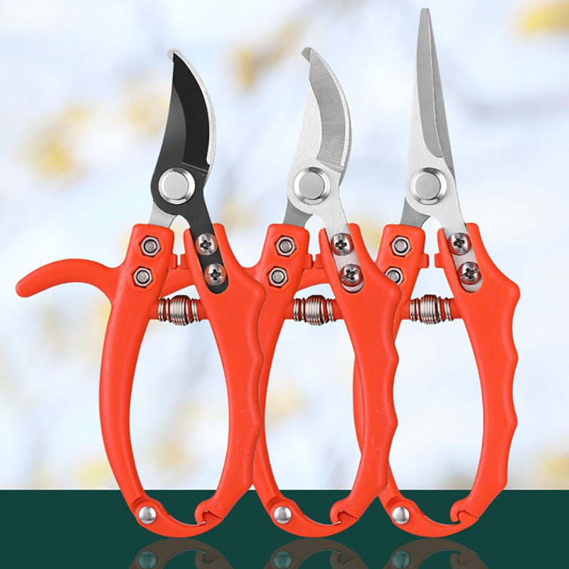 Forbici per rami da giardinagg - Bonsai Garden Knife recensione e prezzo