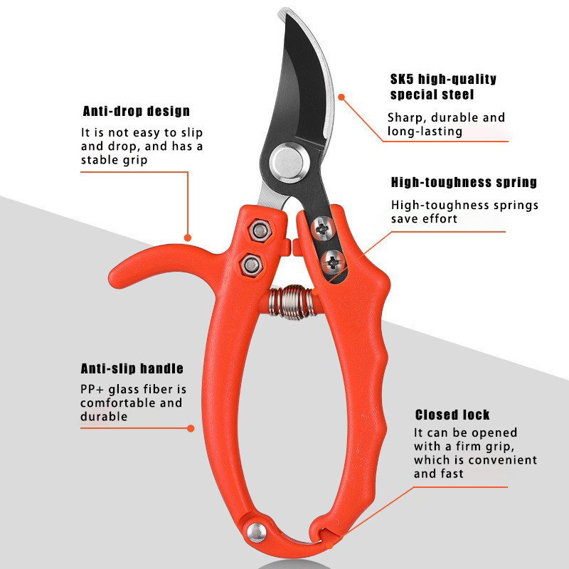 Forbici per rami da giardinagg - Bonsai Garden Knife recensione e prezzo
