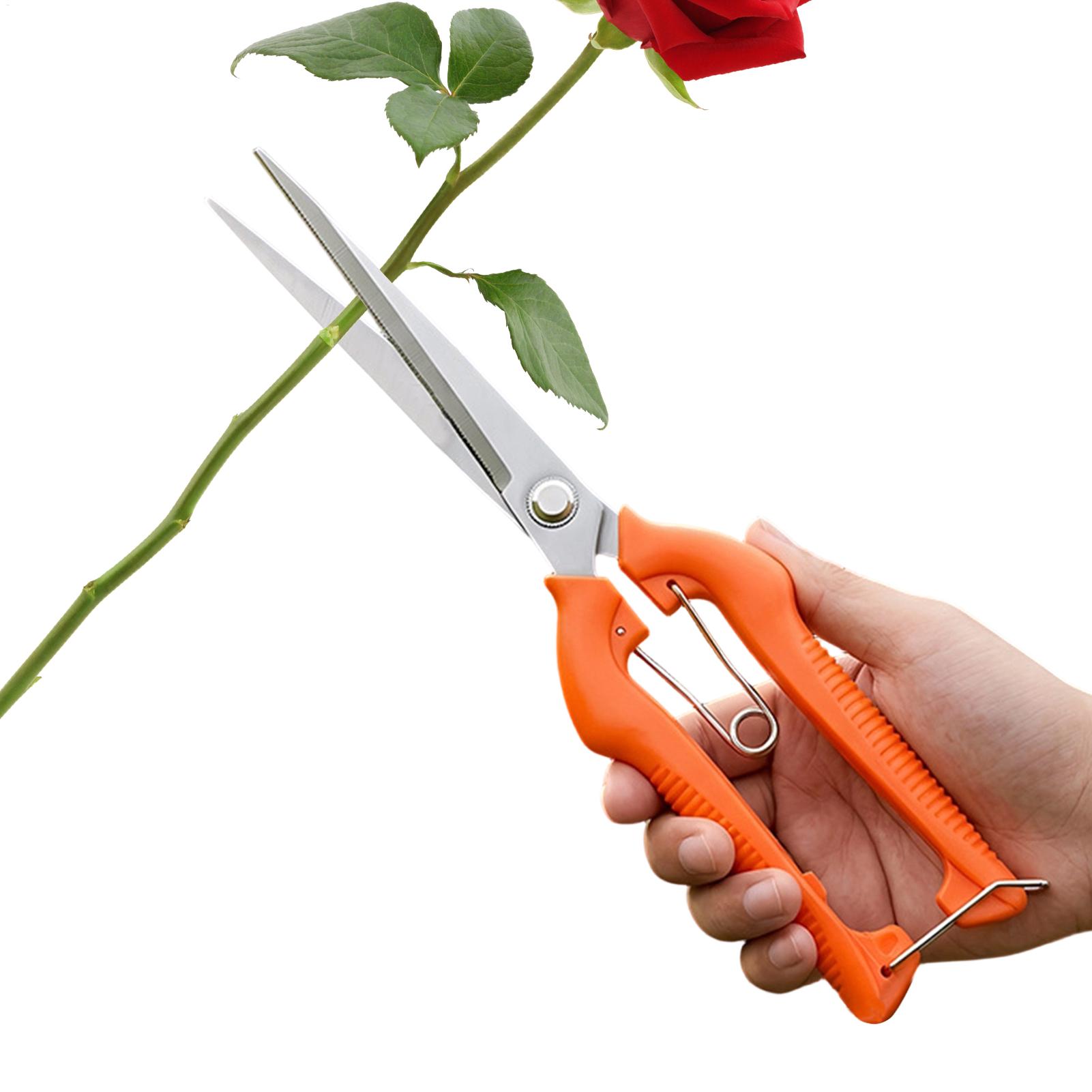 Forbici da Potatura Profession - Bonsai Garden Knife recensione e prezzo