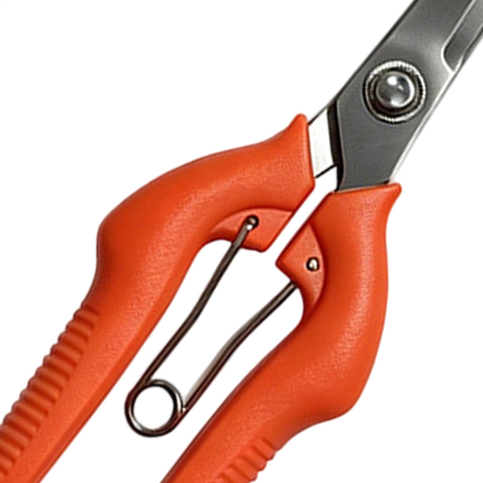 Forbici da Potatura Profession - Bonsai Garden Knife recensione e prezzo