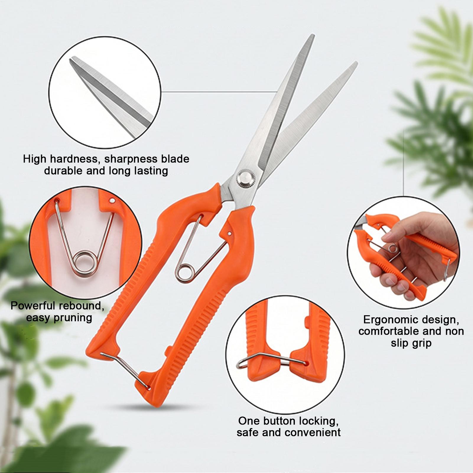 Forbici da Potatura Profession - Bonsai Garden Knife recensione e prezzo