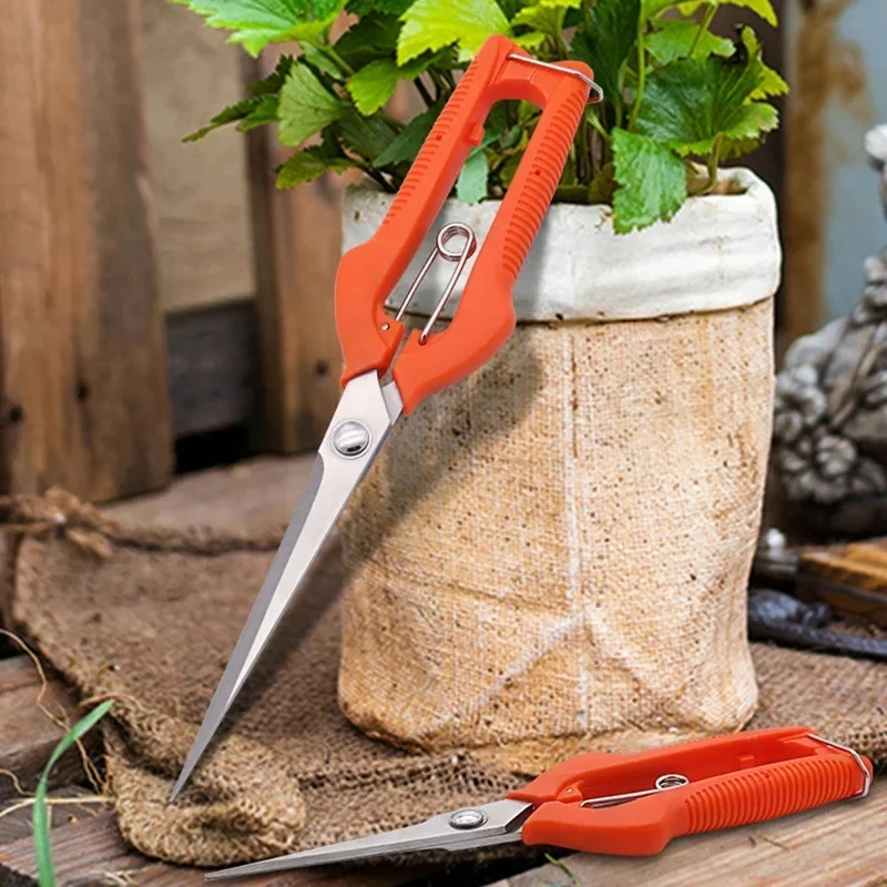 Cesoie da potatura Forbici per - Bonsai Garden Knife recensione e prezzo