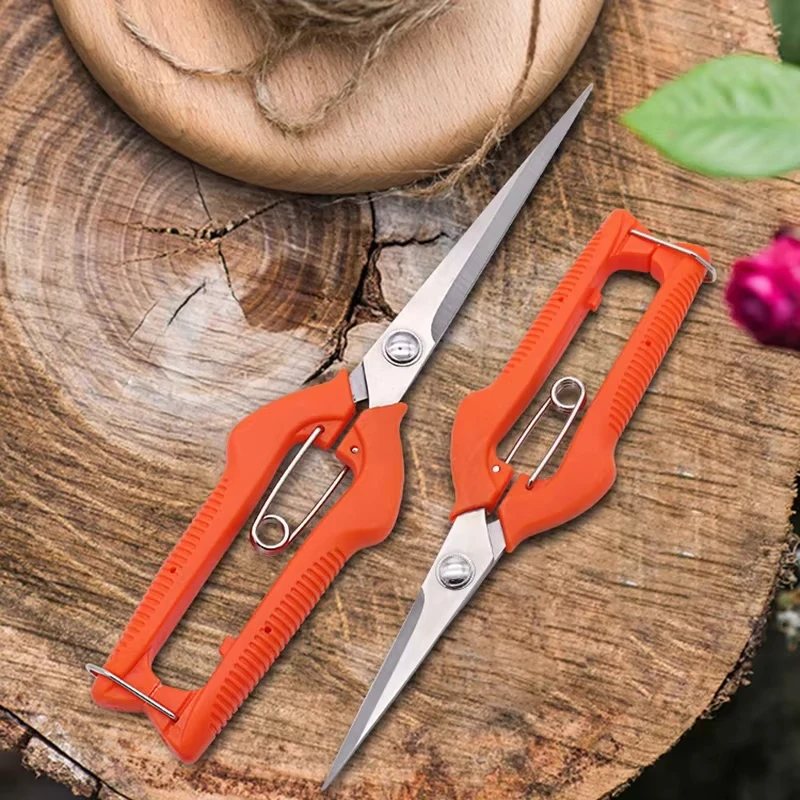 Cesoie da potatura Forbici per - Bonsai Garden Knife recensione e prezzo