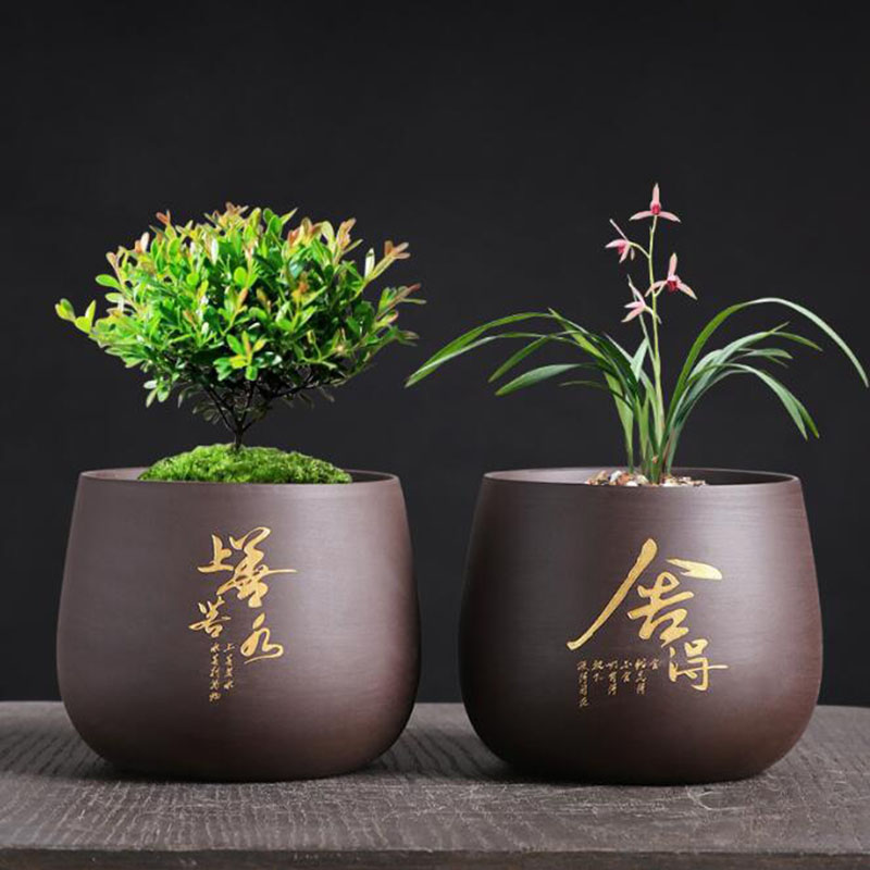 Vaso da fiori in argilla viola - Bonsai Garden Europe recensione e prezzo