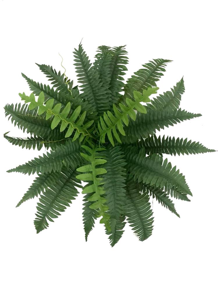 Ferniera artificiale realistic - Bonsai Garden Boston recensione e prezzo