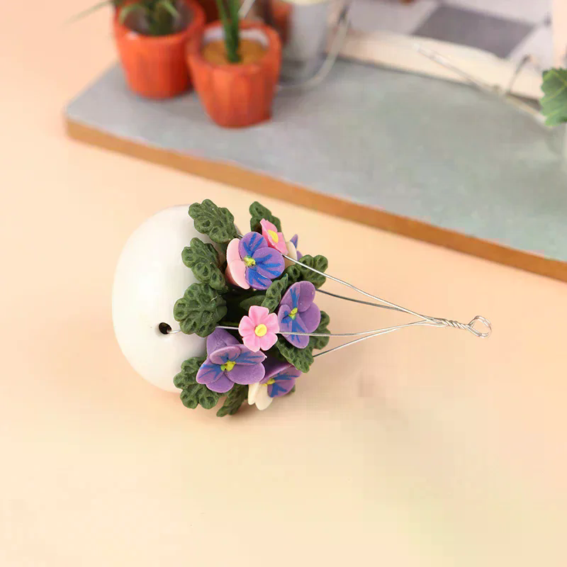Piante in vaso in miniatura pe - Bonsai Garden Europe recensione e prezzo