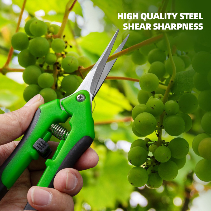 Forbici AIRAJ da 7 pollici per - Bonsai Garden Knife recensione e prezzo