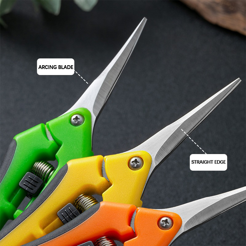 Forbici AIRAJ da 7 pollici per - Bonsai Garden Knife recensione e prezzo