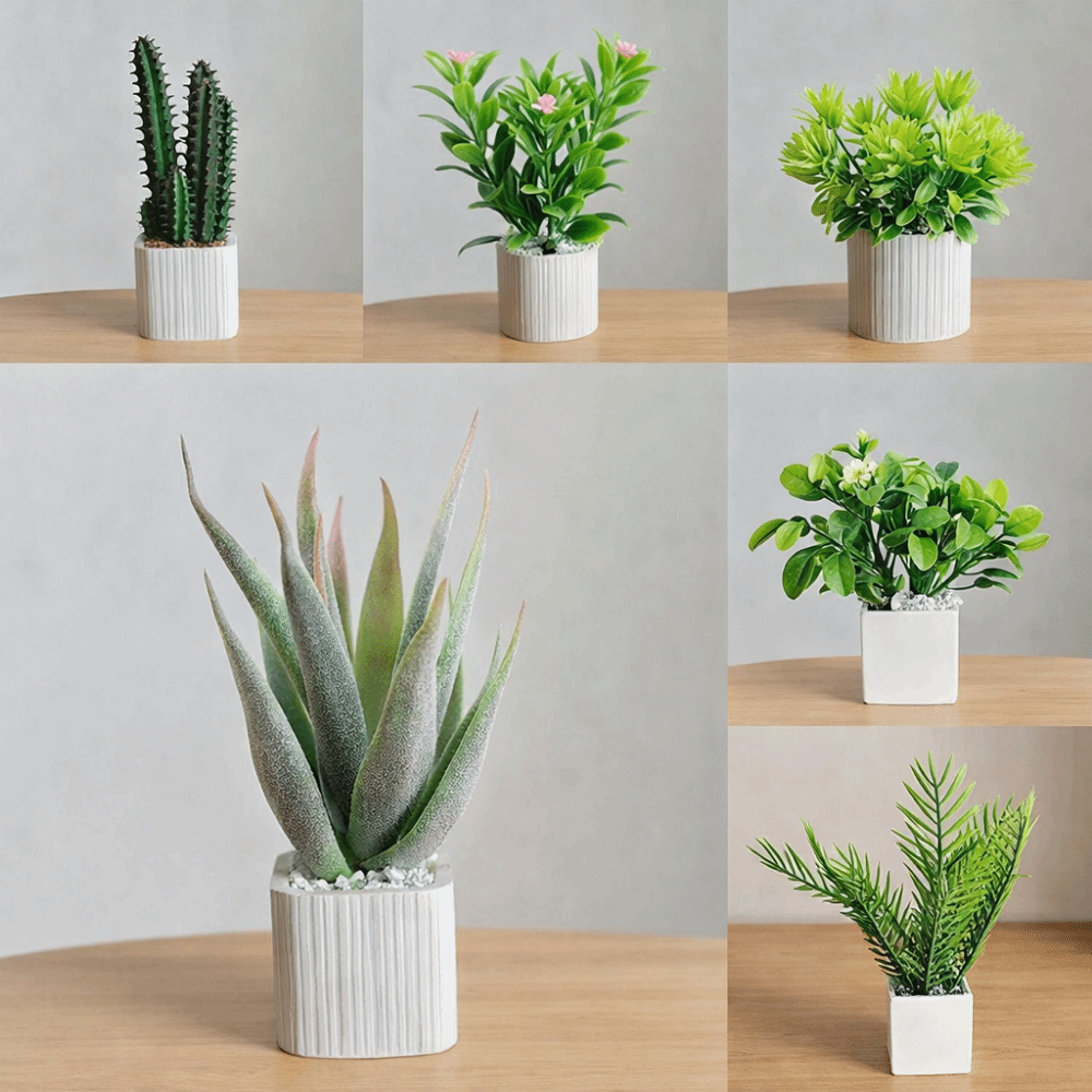 Pianta in Vaso in Scala 1:6 pe - Bonsai Garden Europe recensione e prezzo