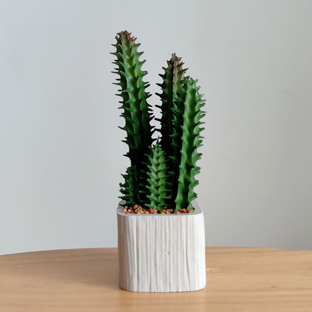 Pianta in Vaso in Scala 1:6 pe - Bonsai Garden Europe recensione e prezzo
