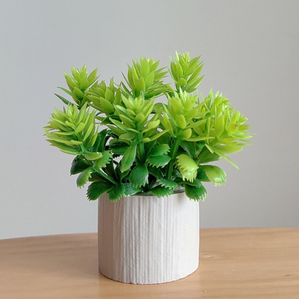 Pianta in Vaso in Scala 1:6 pe - Bonsai Garden Europe recensione e prezzo