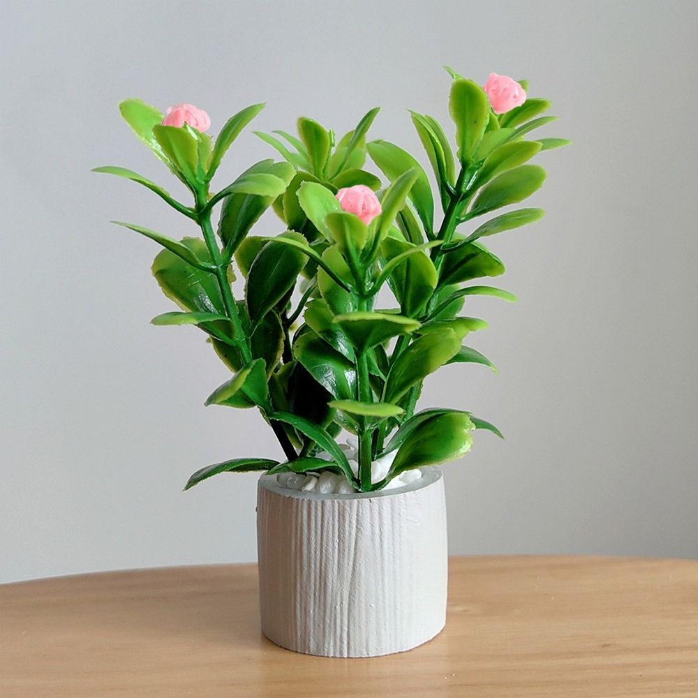 Pianta in Vaso in Scala 1:6 pe - Bonsai Garden Europe recensione e prezzo