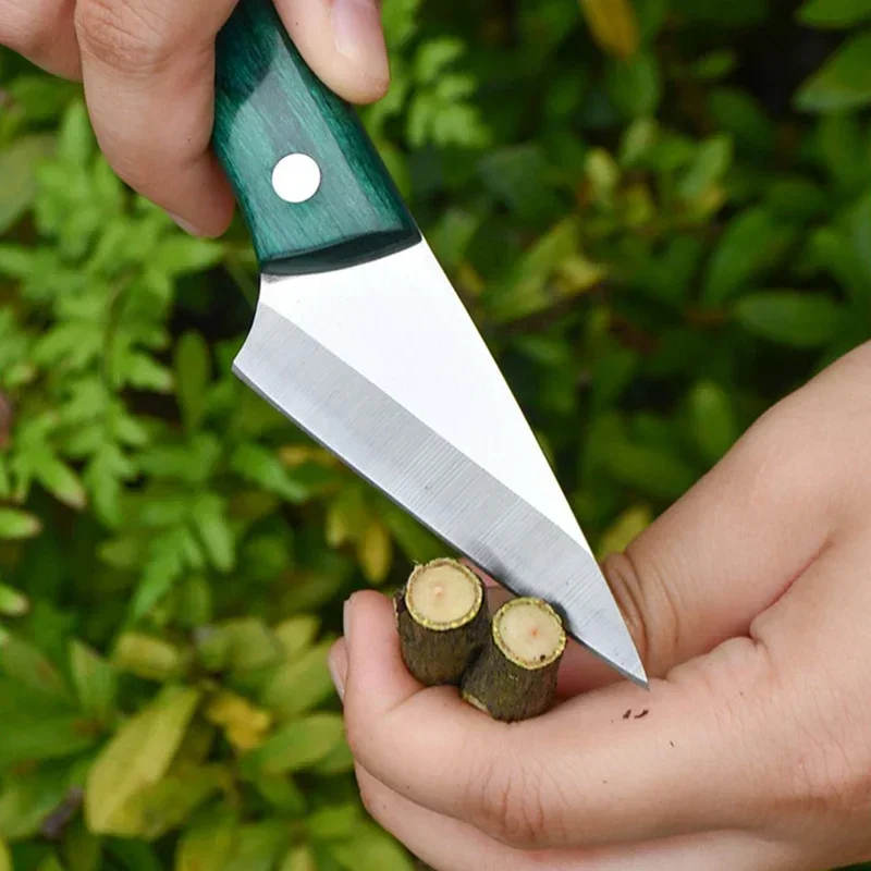 Coltello da innesto in acciaio - Bonsai Garden Knife recensione e prezzo