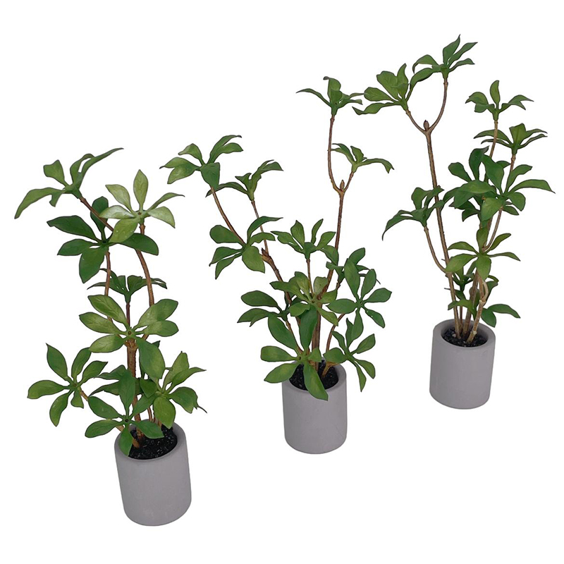 1:6 Casa delle bambole in mini - Bonsai Garden Europe recensione e prezzo
