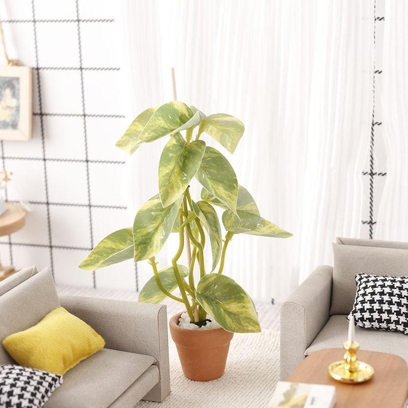 Offerta Speciale: Modellino Bo - Bonsai Garden For Sale recensione e prezzo
