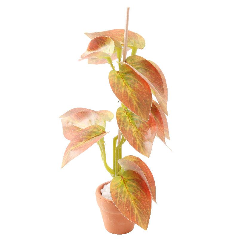 Offerta Speciale: Modellino Bo - Bonsai Garden For Sale recensione e prezzo