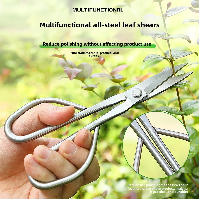 Forbici per foglie tenere Stru - Bonsai Garden Knife recensione e prezzo
