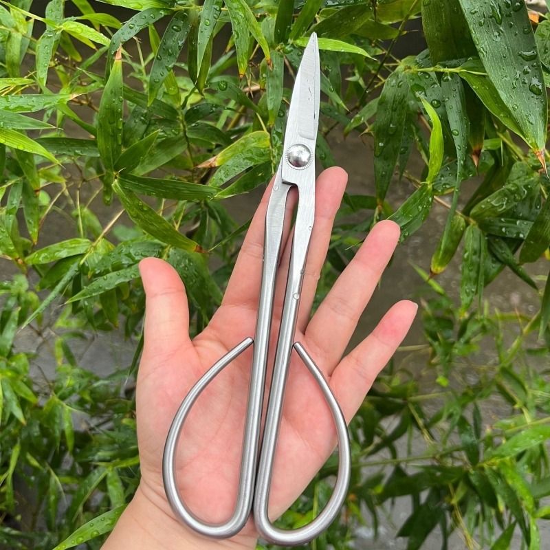Forbici per foglie tenere Stru - Bonsai Garden Knife recensione e prezzo