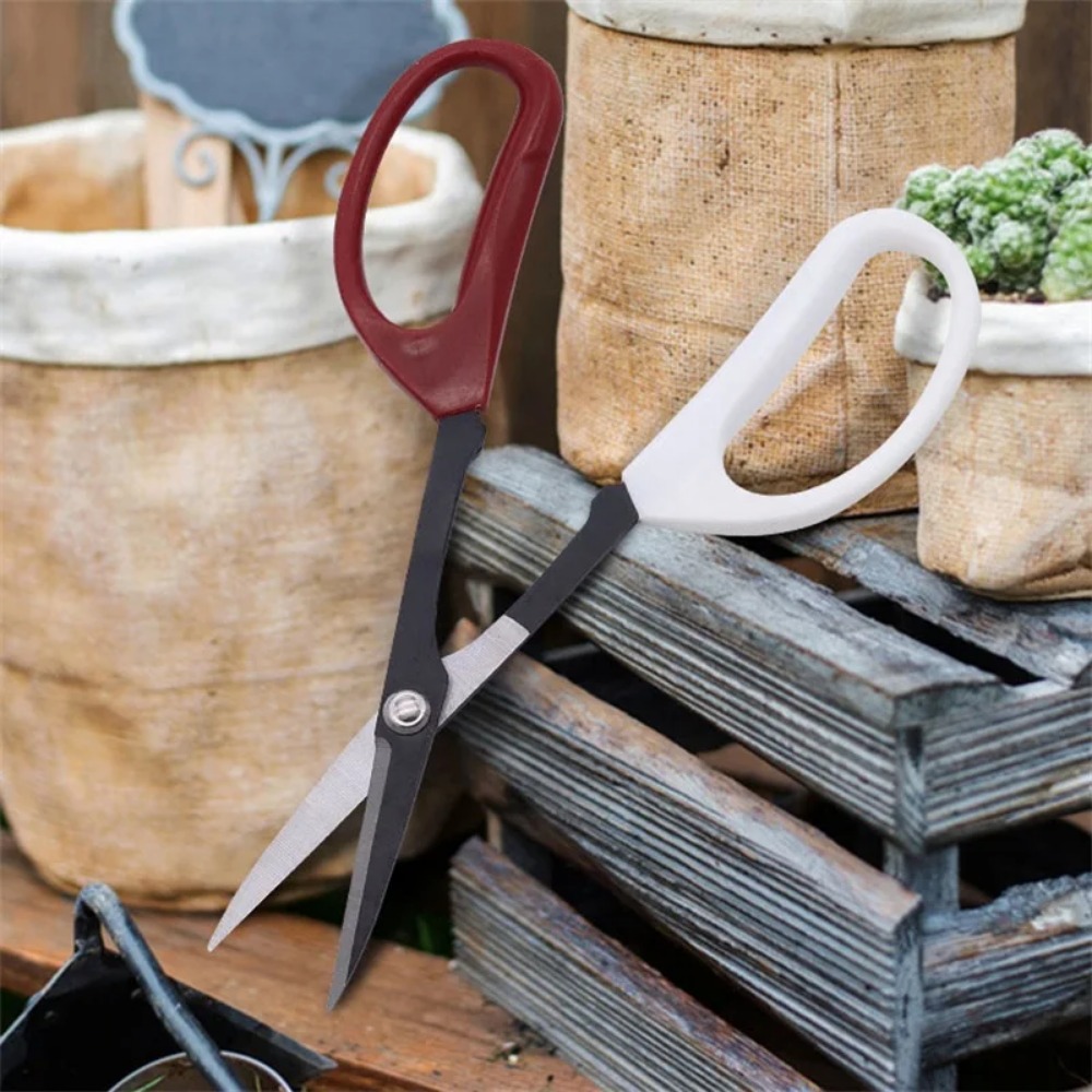 Strumento per bonsai Forbici c - Bonsai Garden Knife recensione e prezzo