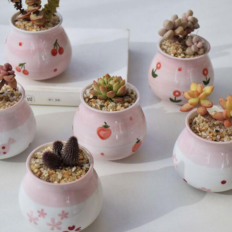 Cute Pink Girl Heart Series va - Bonsai Garden Europe recensione e prezzo