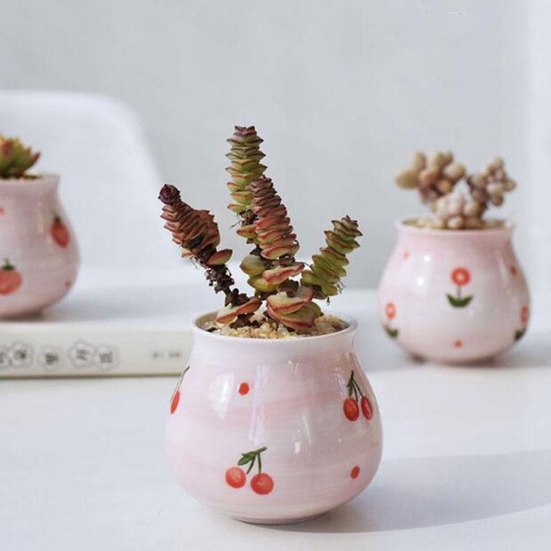 Cute Pink Girl Heart Series va - Bonsai Garden Europe recensione e prezzo