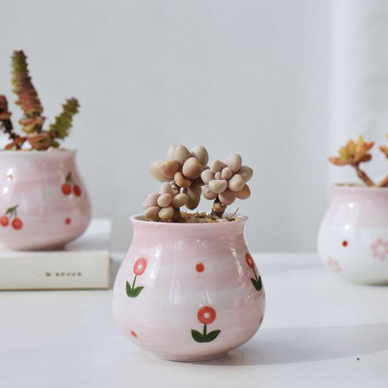 Cute Pink Girl Heart Series va - Bonsai Garden Europe recensione e prezzo