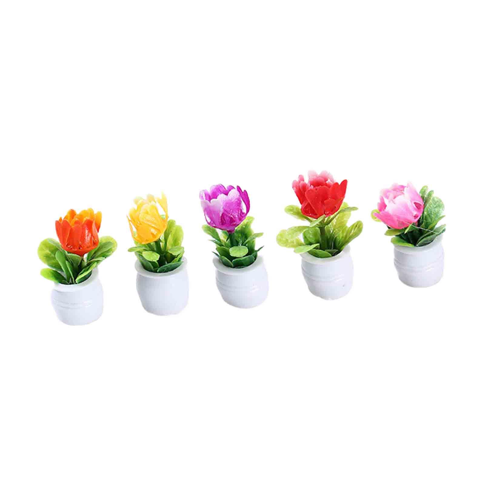 5 Pezzi Vasi di Fiori in Minia - Bonsai Garden Europe recensione e prezzo