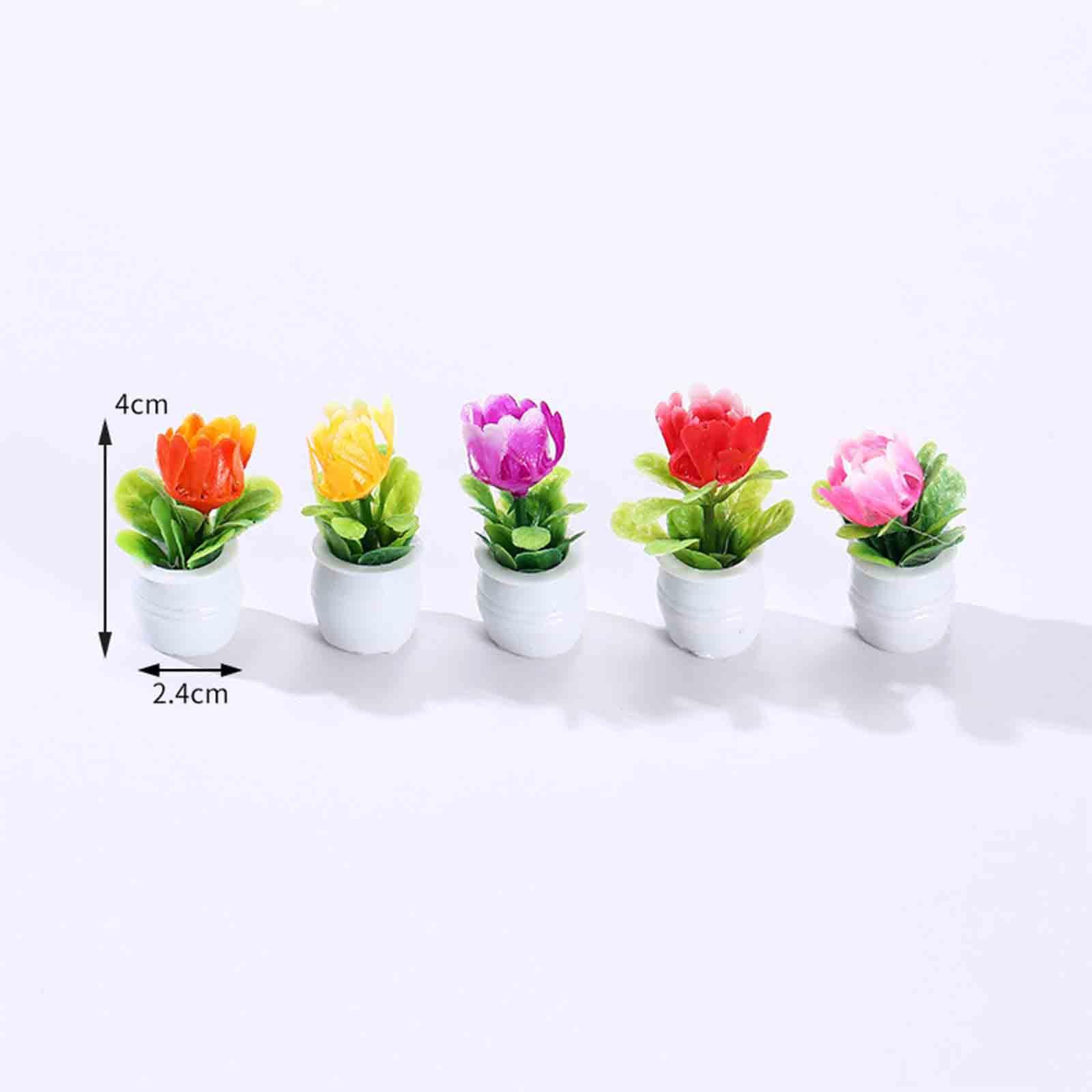 5 Pezzi Vasi di Fiori in Minia - Bonsai Garden Europe recensione e prezzo