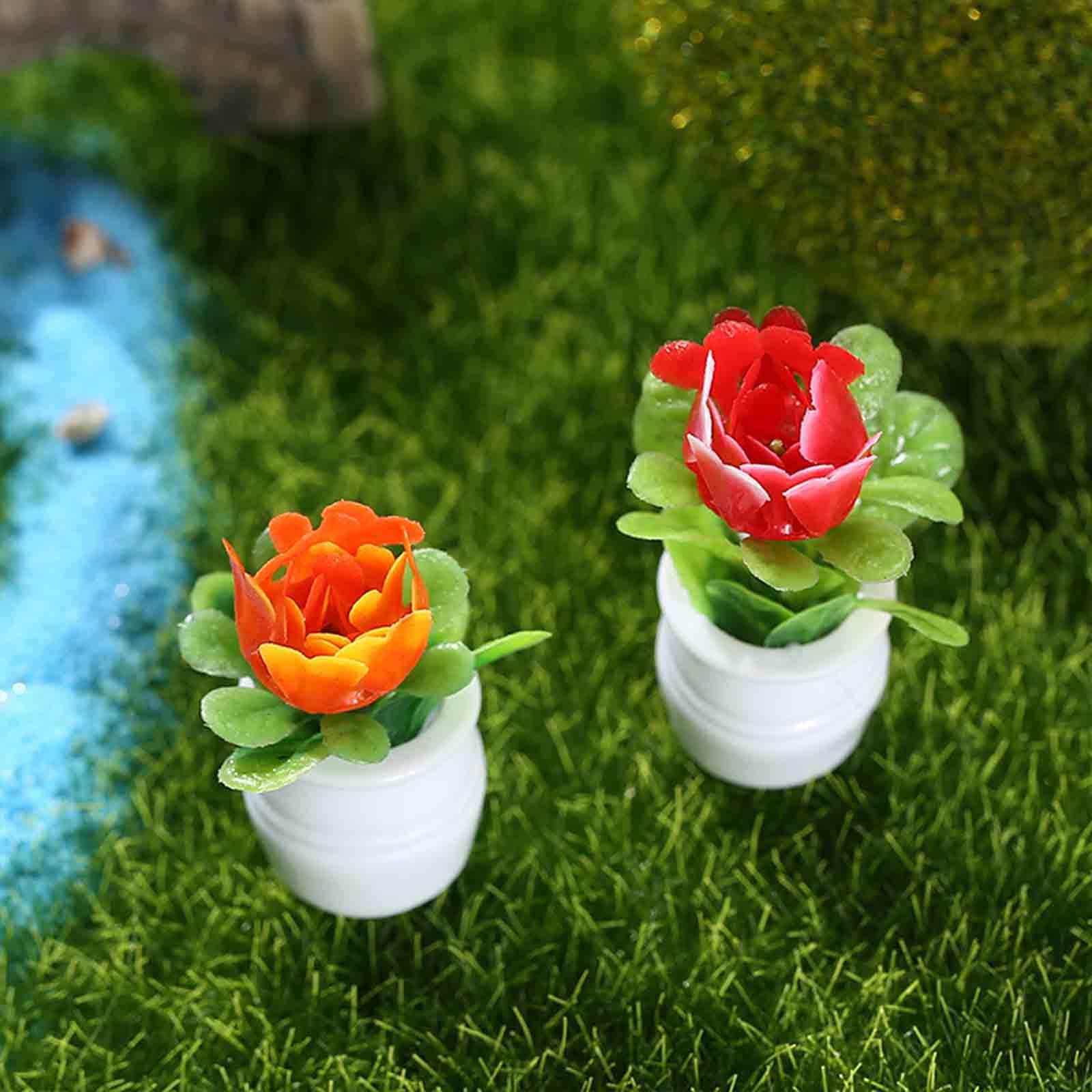 5 Pezzi Vasi di Fiori in Minia - Bonsai Garden Europe recensione e prezzo