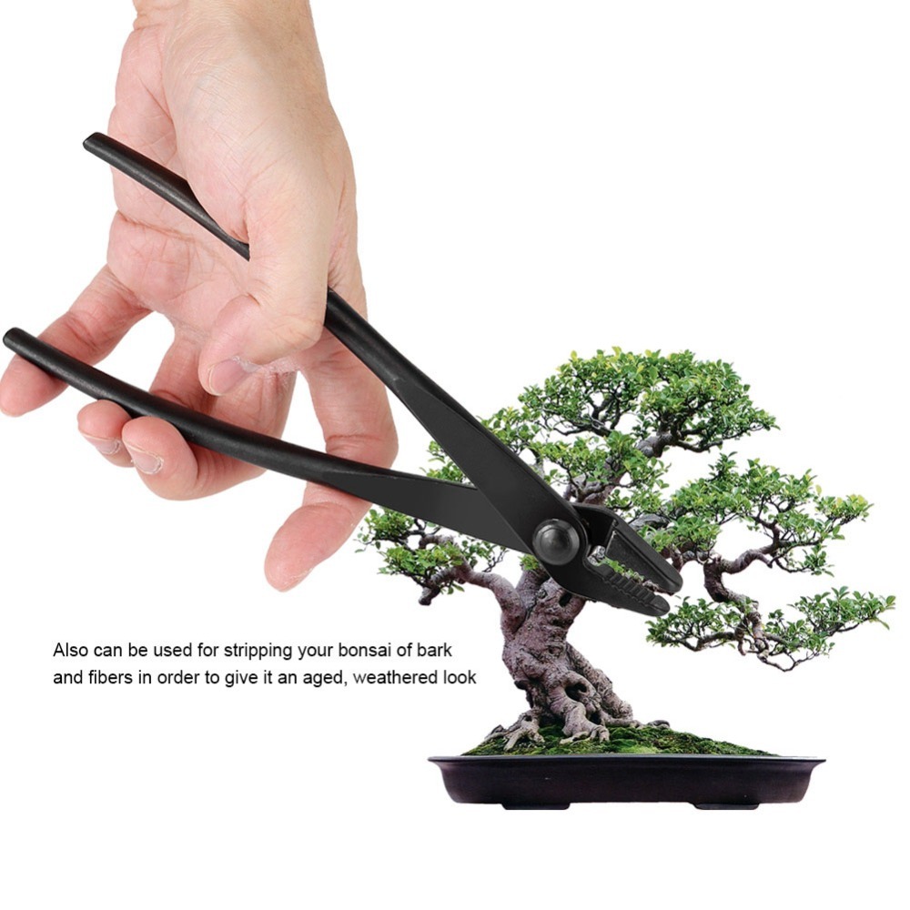 Pinza Professionale in Lega di - Bonsai Garden Knife recensione e prezzo