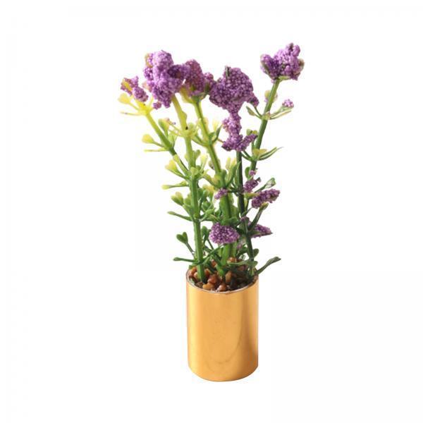 Ornamento di Pianta in Vaso in - Bonsai Garden Europe recensione e prezzo